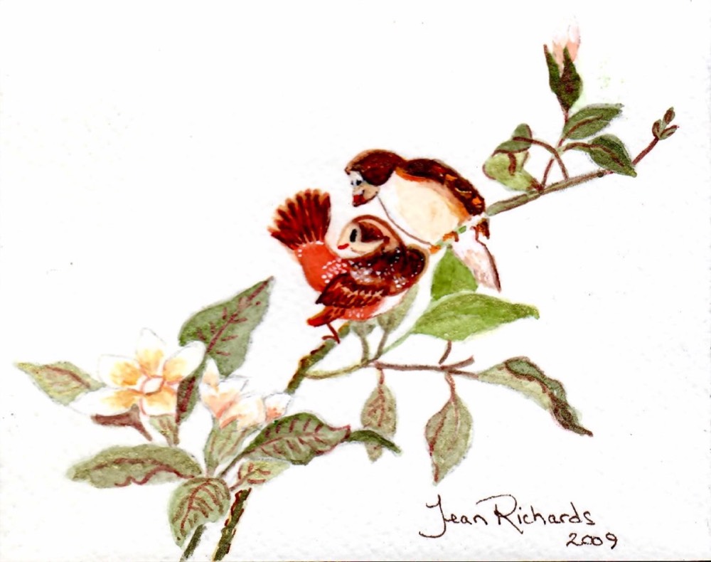 Signed watercolor of a bird on a flowering branch by Jean Richards